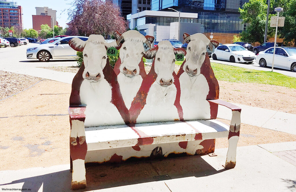 cow bench