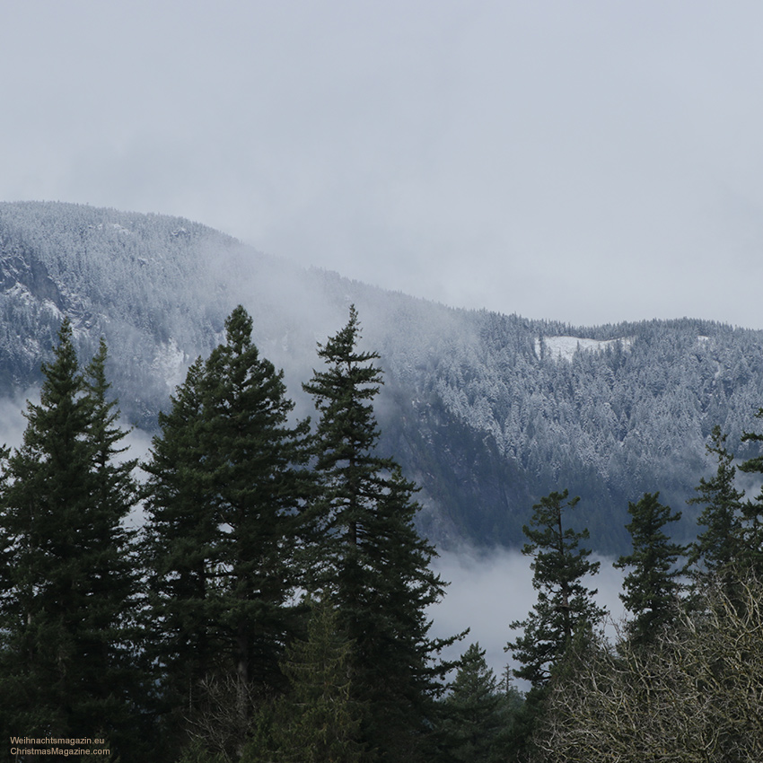 mountain range covered in snow, British Columbia