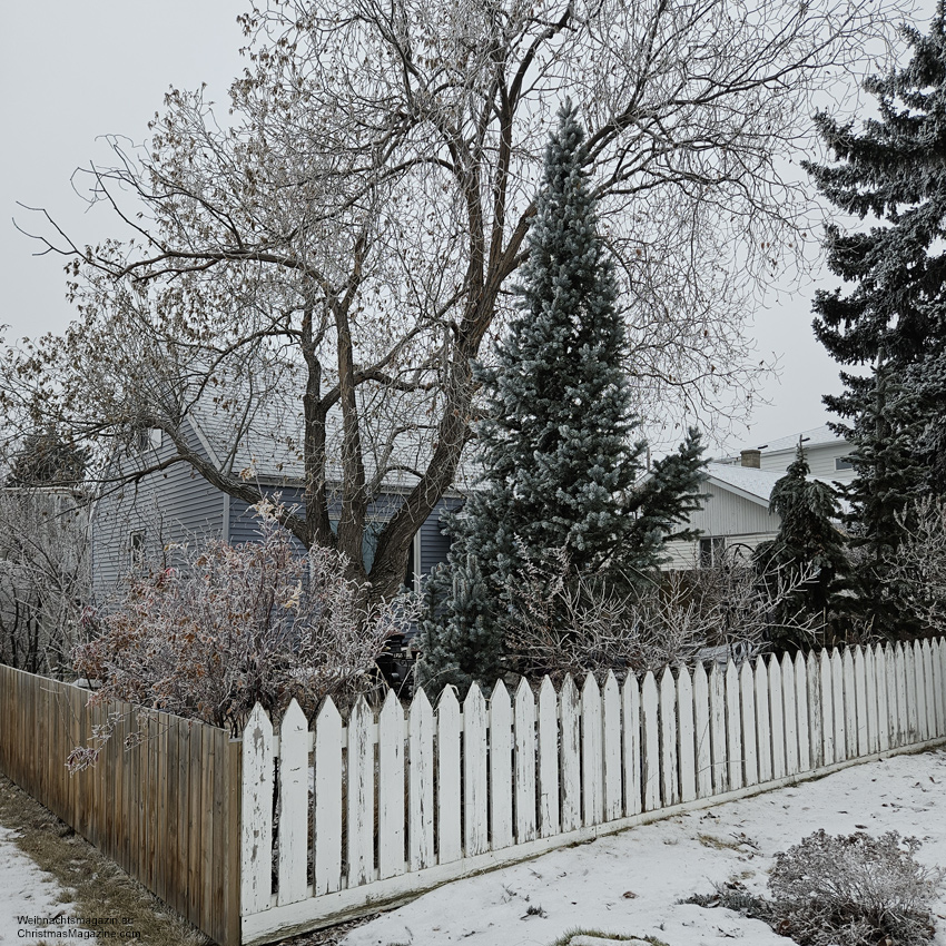 Renfrew neighbourhood, Calgary, Alberta