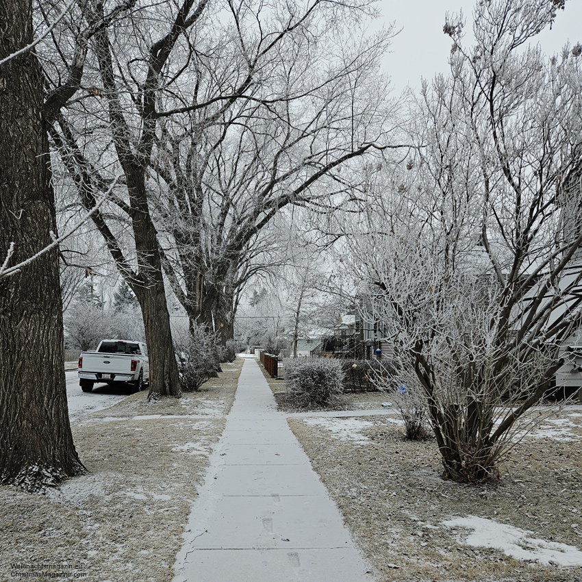 Renfrew neighbourhood, Calgary, Alberta