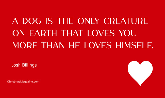 A dog is the only creature
on earth that loves you
more than he loves himself.
Josh Billings