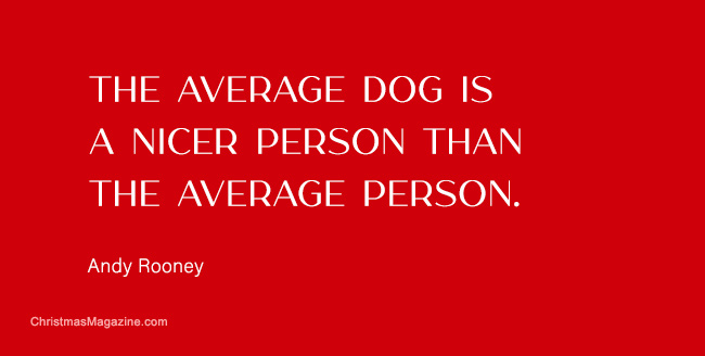 The average dog is a nicer person than the average person.
Andy Rooney